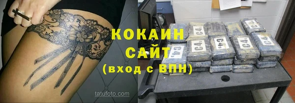 стаф Корсаков
