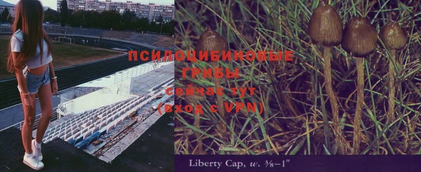 стафф Костерёво