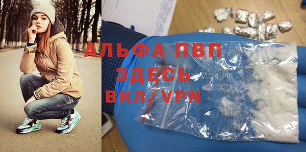 стаф Корсаков