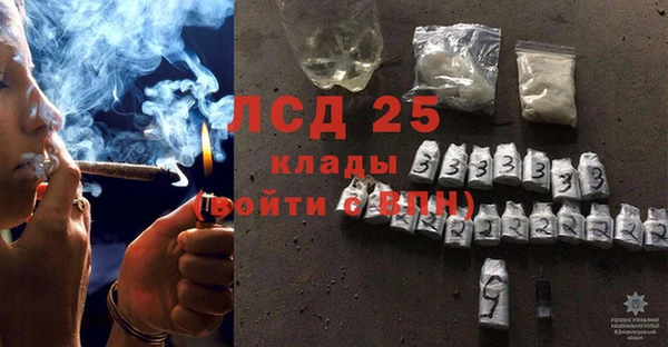 стаф Корсаков