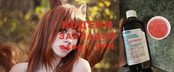стаф Корсаков