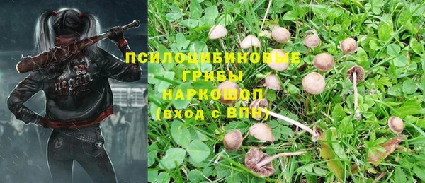 прущая мука Козельск